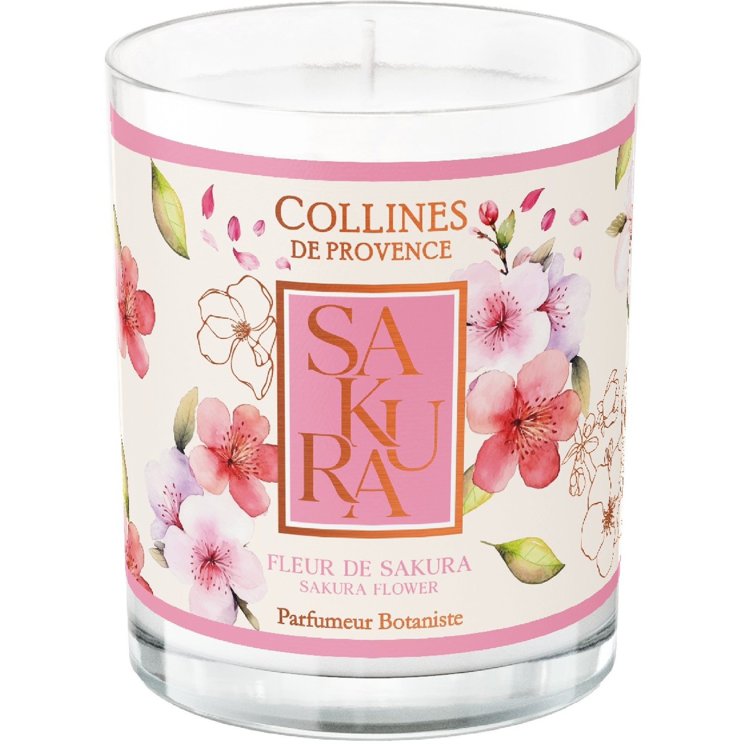 Collines de Provence Les Estivales Sakurablüte Duftkerze