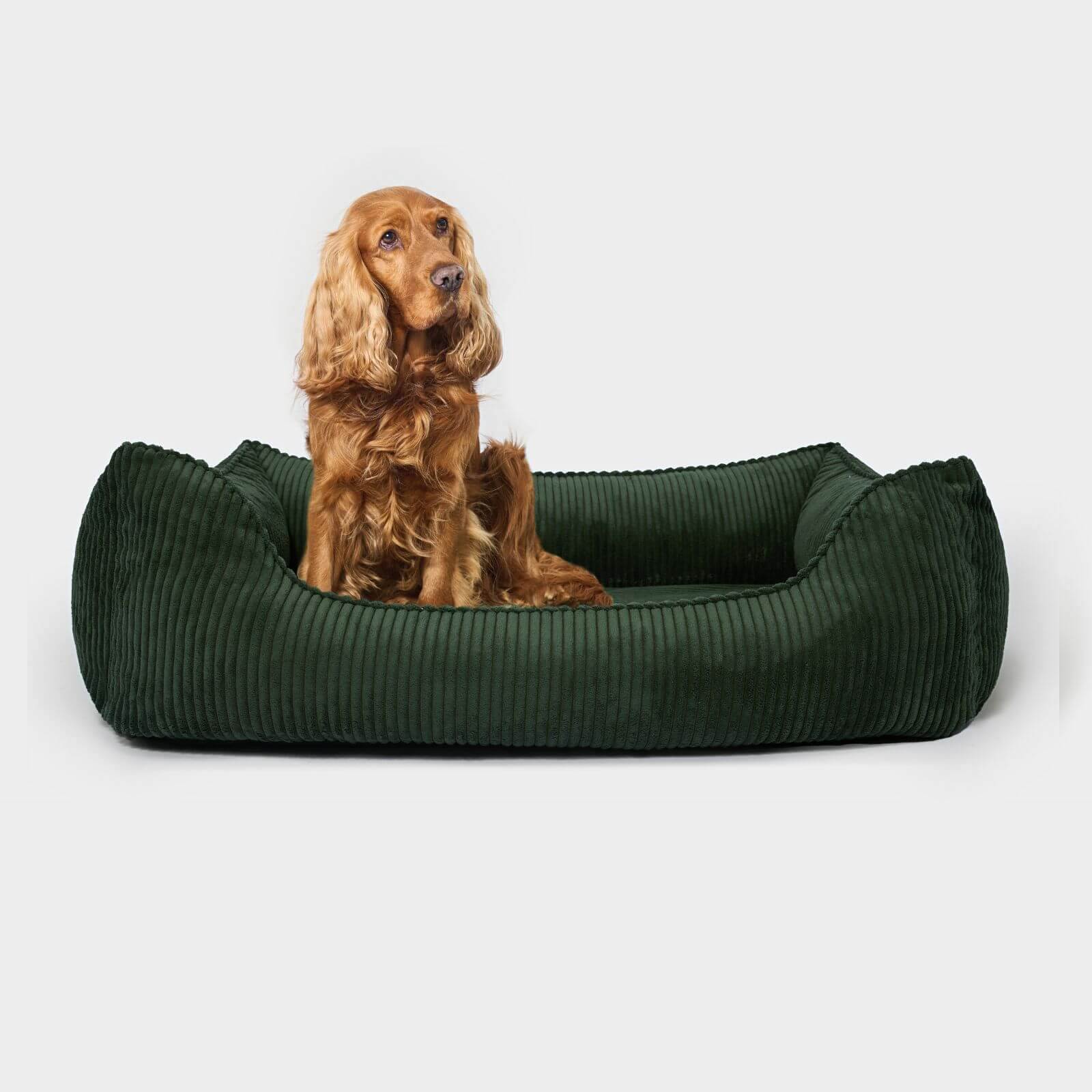 Hundebett ANTON Cord Olive