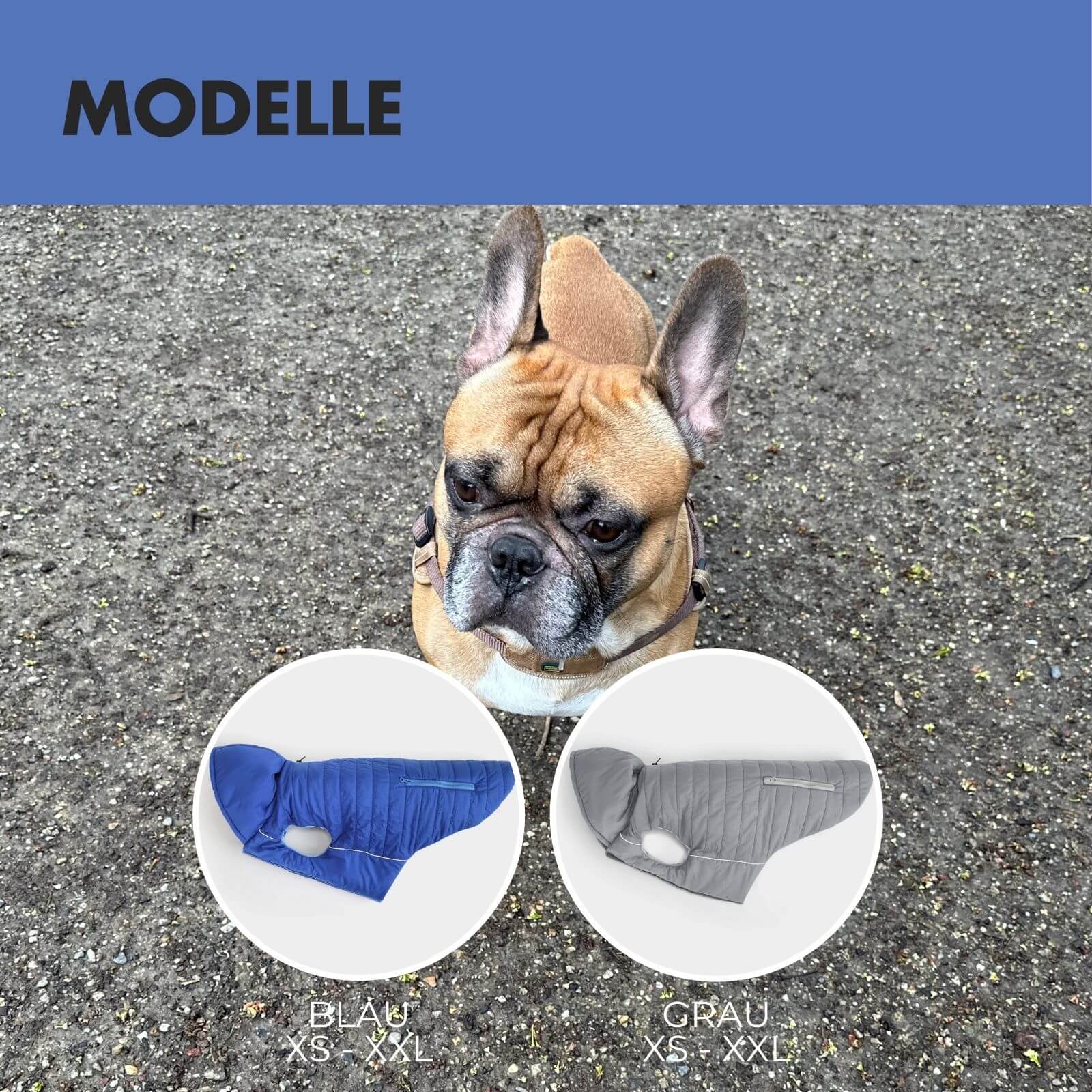 Hundejacke IMMI Blau