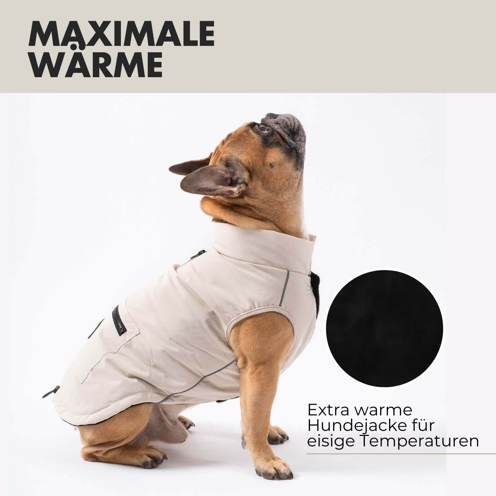 Hundejacke TONI Beige