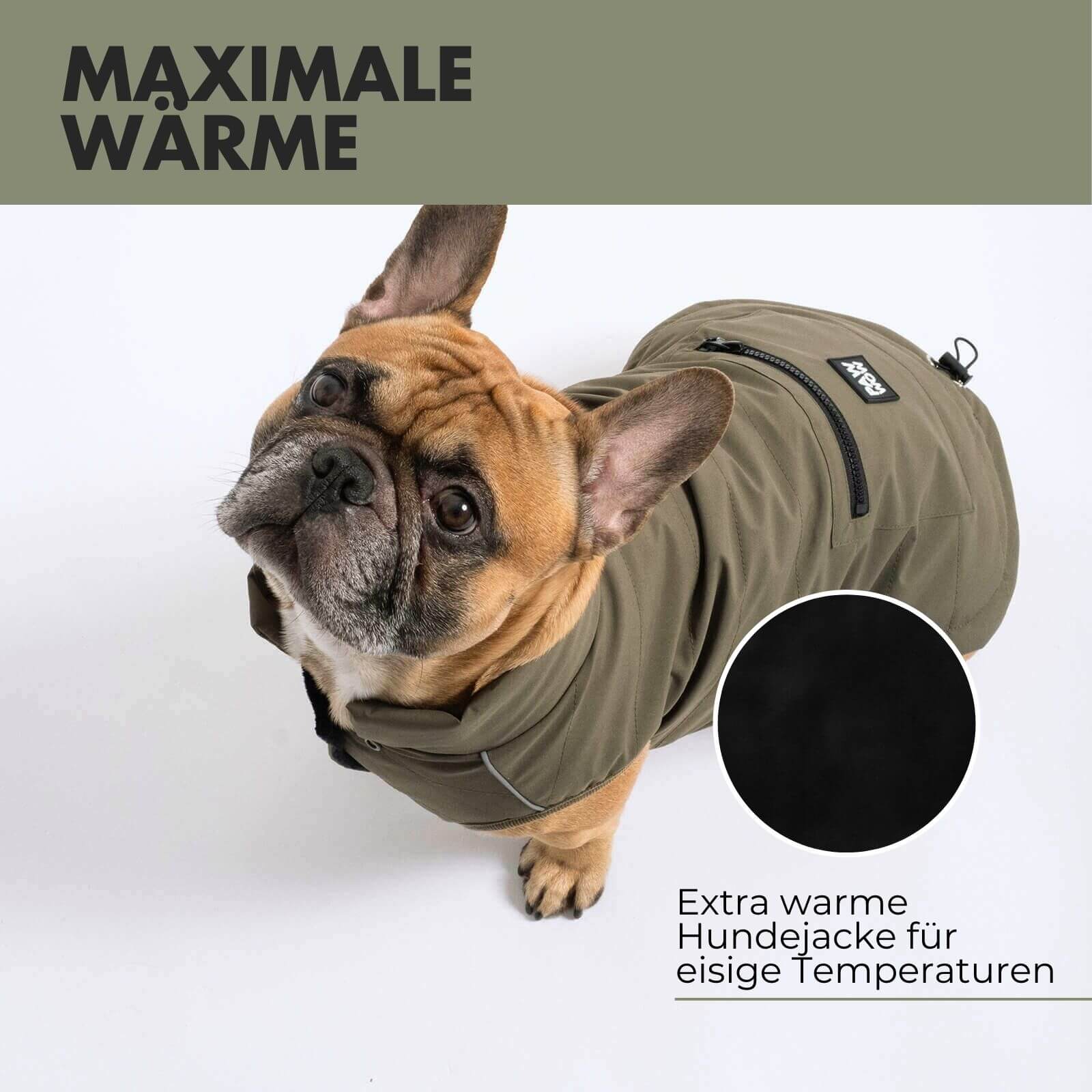 Hundejacke TONI Olive